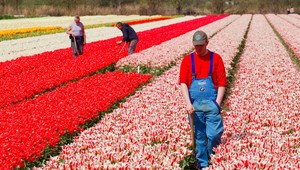 Belgicko je od dnešného dňa čo do rozlohy o niečo menšie a Holandsko naopak o kúsok väčšie