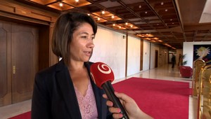 Nicholsonová má pozastavené členstvo v SaS. Rozhodla o tom rada strany