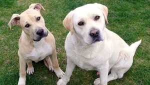 Xavier aj Toby sú už doma, zdraví a šťastní