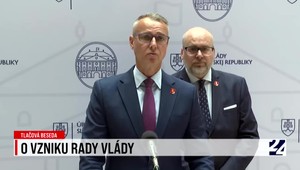 Tlačová beseda o vzniku rady vlády