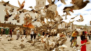 Nekŕmte holuby, lebo oslepnete! Varuje slepá Erica (23)