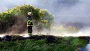 Rozsiahly požiar nad Bratislavou! Horeli vinohrady...