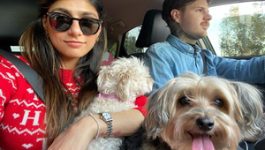 Úplný hnus! Známa celebritka zdvihla psie výkaly svojím rúškom, potom si ho opäť NASADILA na tvár!