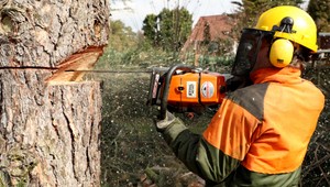 Vladimíra (†56) privalil strom. Brat bol celý čas pri ňom