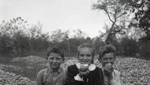 Ovocie s pamäťou krajiny: Prečo by sme nemali zabudnúť na staré odrody