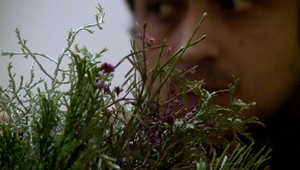 Policajti zatkli zlodeja. Celý čas držal kvetináč