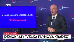 Tlačová beseda strany Demokrati: Veľká plynová krádež