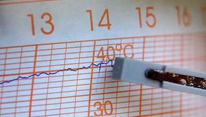 Sviatočná nedeľa november nepripomína, teploty sa vyšplhajú vysoko