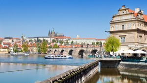 V pražskej zoo sa vyliahol vzácny varanovec, svätý grál medzi plazmi