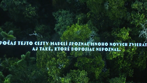 Charitatívny projekt pokračuje: Kniha džunglí pre nevidiacich putuje na veľké plátno