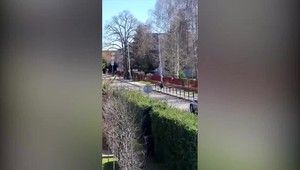 Medveďa, ktorý podľa Tarabu útočil v Liptovskom Mikuláši, odstrelili