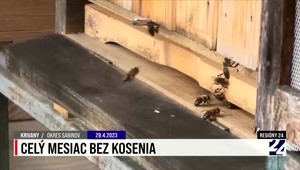 Jedenásť reportáží z regiónov v relácii Regióny 24