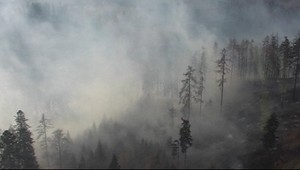 Pri Poprade stále horí les, požiar sa už nešíri