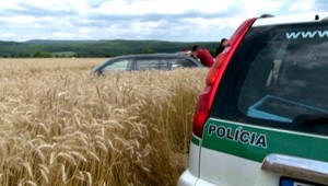 Opitý vodič (27) unikal policajtom. Našli ho v kríkoch