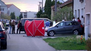 Mladík, ktorý brutálne popravil súrodencov a otca, sa na čin dôsledne pripravoval