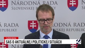 Tlačová beseda strany SaS k aktuálnej politickej situácii