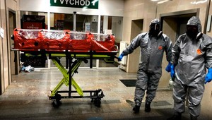Ebola v Česku? Epidémia nehrozí, upokojujú odborníci