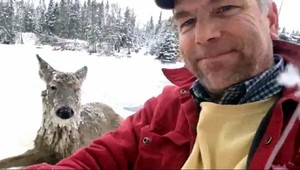 Jeleň bojoval o život v zamrznutej rieke. Zachránil ho nepočujúci učiteľ