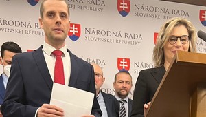 Na poľadovicu doplatila poslankyňa Národnej rady SR