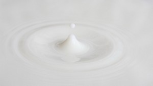 Encefalitídu v kozom a ovčom mlieku vylúčili