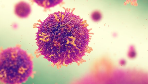 V Bratislave potvrdili ďalší prípad osýpok. Ide o 18-mesačné dieťa