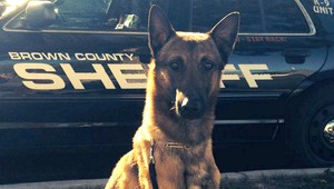 Policajný pes Wix zomrel počas služby v aute, pokazila sa klimatizácia