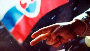 DEMOKRACIA. Komu priniesla výhody a komu nevýhody