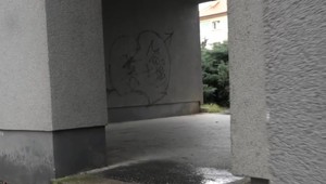 Lupič prepadol dôchodcu v podchode. Sotil ho na zem, ukradol mu peňaženku a ušiel