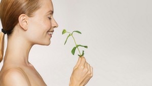 Maska z tejto bylinky vám vylieči pokožku: Vyčistí pleť do hĺbky a poradí si aj so silným akné