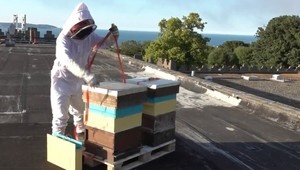 Medom si podmanil Dublin. Šikovnému Slovákovi sa darí vďaka domácemu receptu