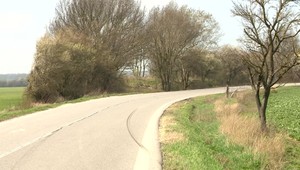 Pri nehode sa zranili traja mladí ľudia. Náraz do stromu ho vytrhol zo zeme