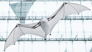 Robotická ZOO: Laboratórium Festo