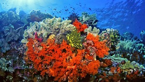 V Austrálii práve prebieha najväčšia sexuálna udalosť na svete