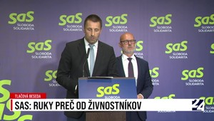 Tlačová beseda strany SaS: Ruky preč od živnostníkov
