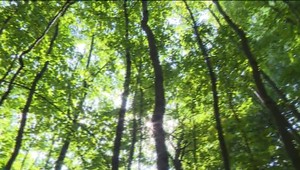 Babie leto ešte nedorazilo. Meteorologička prezradila, čo nás v septembri čaká