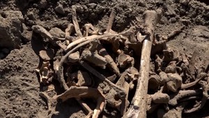 FOTO: Na poli pri Galante našli ľudské kosti. Rozuzlenie bolo nečakané