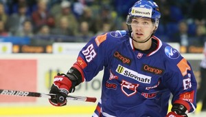 Hokejisti Slovenska do Mníchova bez zraneného Záborského (24)