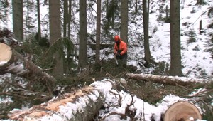 Na Orave po víchrici padli celé lesy. Ostali len holé kopce