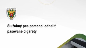 Pes na hraniciach odhalil podvod: Tisíce cigariet ukrytých v kamióne