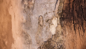 1,5 milióna rokov starý dôkaz o živote ľudských predkov