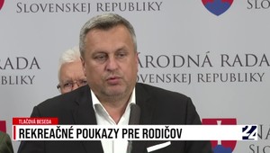 Tlačová beseda strany SNS o rekreačných poukazoch pre rodičov