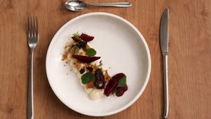 Kozí syr s cviklou, černicami, lieskovcami a nachos