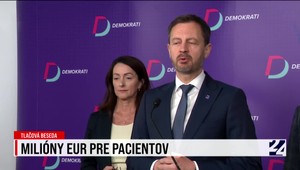 Tlačová beseda strany Demokrati k návrhu SaS