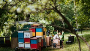 dm v tomto roku podporí dobrovoľnícke projekty svojich spolupracovníkov vyše 43 000 eurami