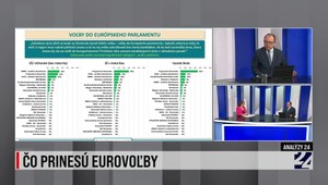 Analýzy 24 s Václavom Hříchom o prieskume ohľadne eurovolieb