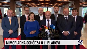 Tlačová beseda strany SaS o odvolávaní podpredsedu parlamentu Blahu
