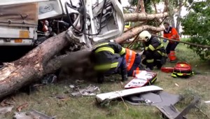 Kamionista skončil v strome, podľa neho môže za nehodu osa