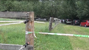 Chovatelia koní majú po viacerých krádežiach strach! Na svojich pozemkoch si všímajú cudzie návštevy