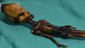 Záhadu maličkej múmie z Atacamy sa podarilo rozlúštiť