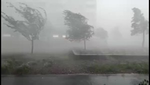 Stromy ako zápalky, po búrkach aj zranení, vietor takmer 120 km/h